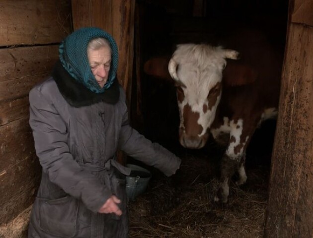 На Волині 85-річна жінка доглядає сім корів