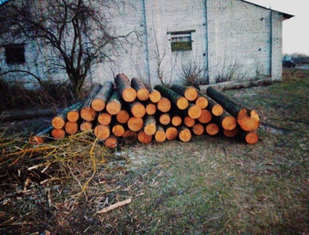 На Волині 30 молодиків намагалися «віджати» у лісової охорони вилучену деревину
