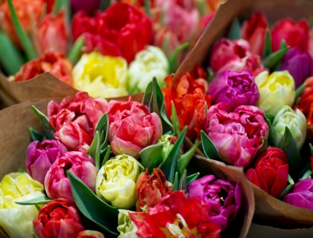 У переддень Дня закоханих у Луцьку зросли ціни на квіти