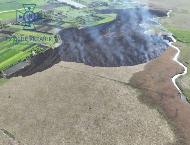 Неподалік Луцька згоріло 2 гектари поля: розшукують паліїв. ФОТО, ВІДЕО