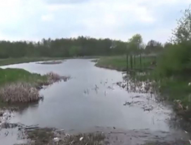 «Ніякого неприємного запаху тут немає», – еколог про  річку Чорногузку
