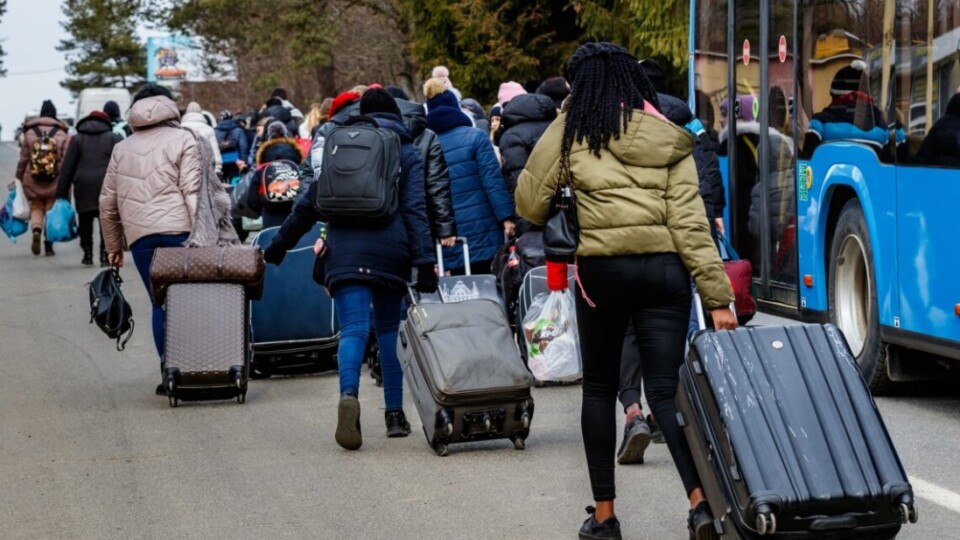 Чверть працездатних біженців з України вже знайшли роботу в Польщі