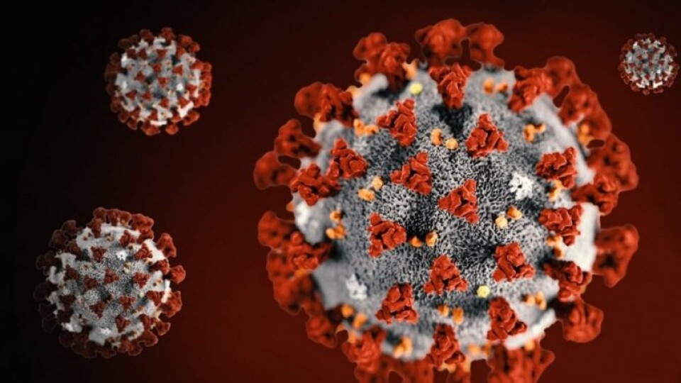За минулу добу коронавірус виявили у 293 волинян