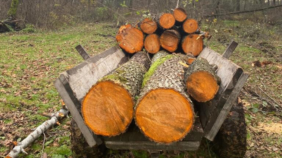 Спіймали волинянина, який незаконно нарубав дерев на території природно-заповідного фонду