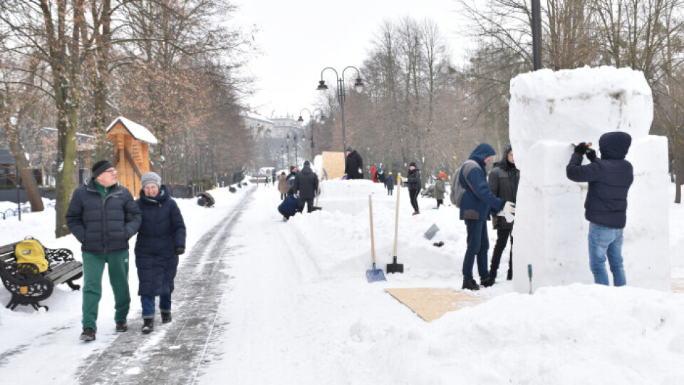 У Луцьку в Центральному парку стартував пленер снігових скульптур