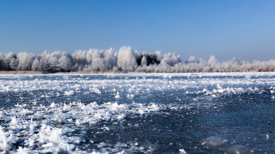 Зимові Шацькі озера. Показали мальовничі світлини