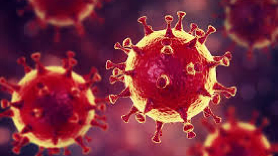 На Волині зафіксували 7 випадків коронавірусу