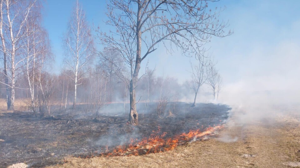 Спалювали суху траву. На Волині рятувальники  загасили чотири пожежі