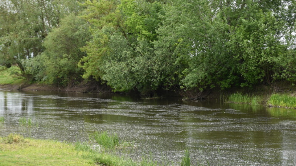 У Луцьку 1 червня стартує пляжний сезон: облаштовують місця для купання