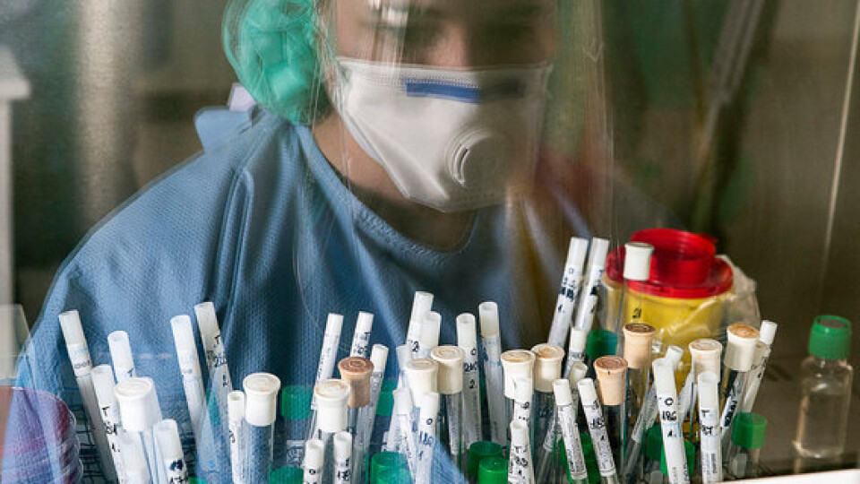 За минулу добу в Україні виявили майже 14 тисяч хворих на коронавірус