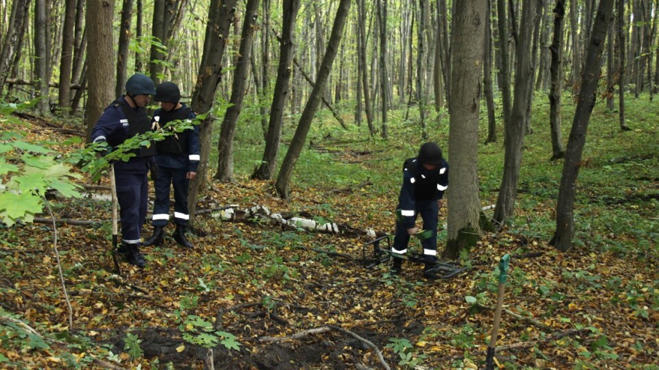 Шукають бабусю,  яка пішла в ліс і зникла