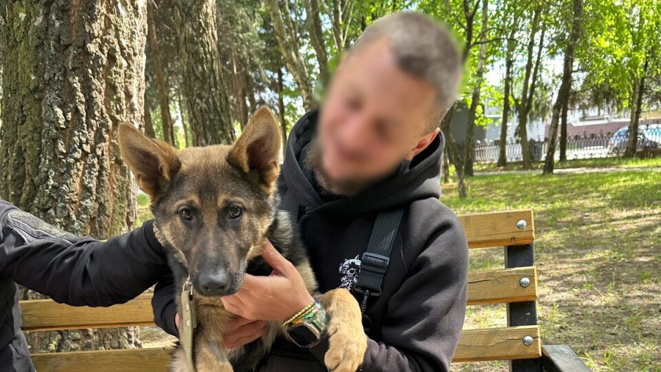 На Волині відновлюватися пораненим бійцям допомагають чотирилапі друзі