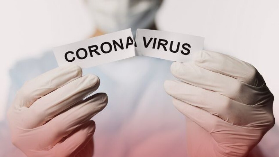 У Європі під час піку пандемії коронавірусу смертність зросла на 50 %, – дослідження