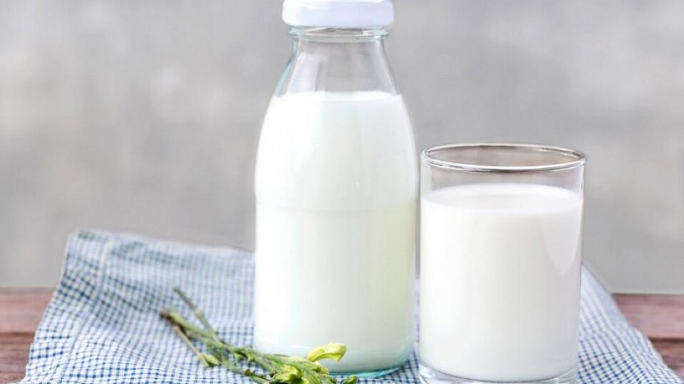 Волинське молоко перевірять на бактеріальне забруднення
