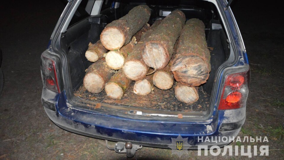 На Волині зупинили три автомобілі з незаконною деревиною