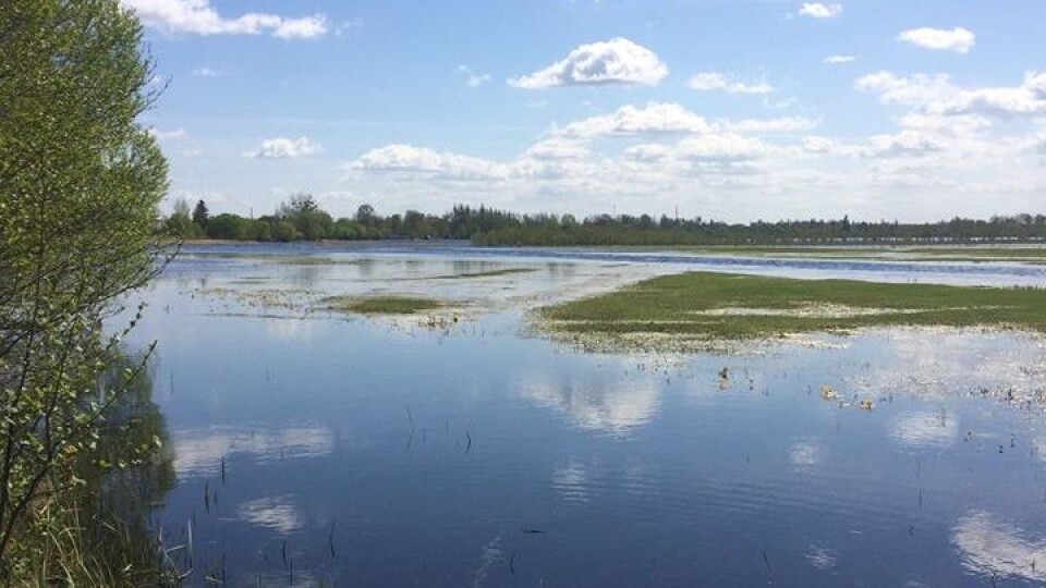 Вода підніматиметься, два райони на Волині і далі топитиме, – прогноз синоптиків