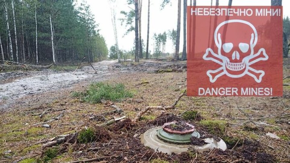 Волинян попереджають: прикордонні ліси й узбіччя доріг заміновані!