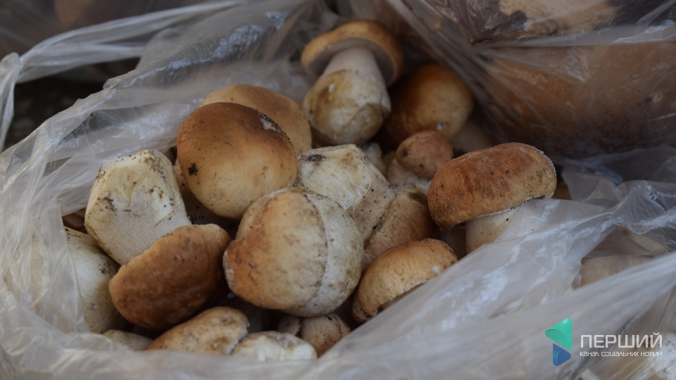 Скільки коштують свіжі гриби на луцькому ринку. ФОТО