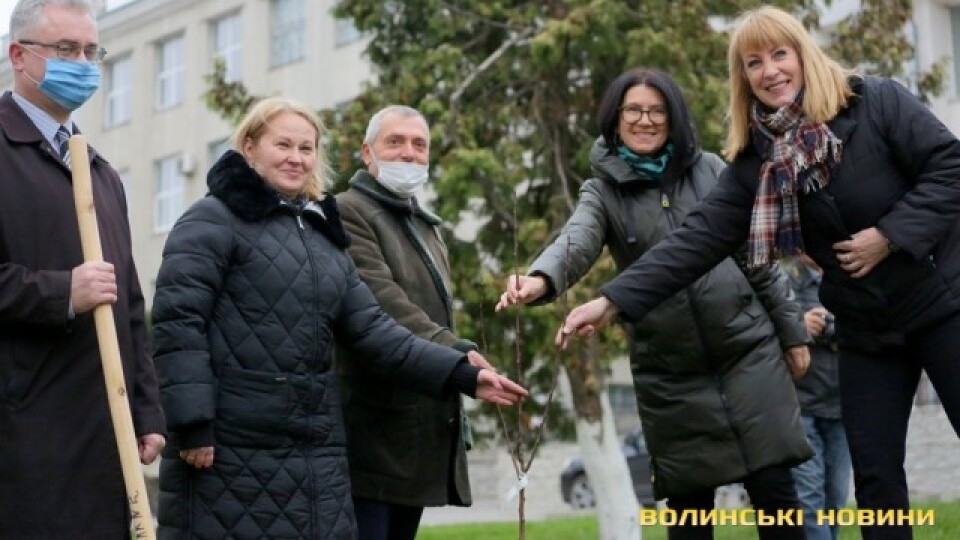 У Луцьку біля ВНУ посадили «грушу Лесі Українки»