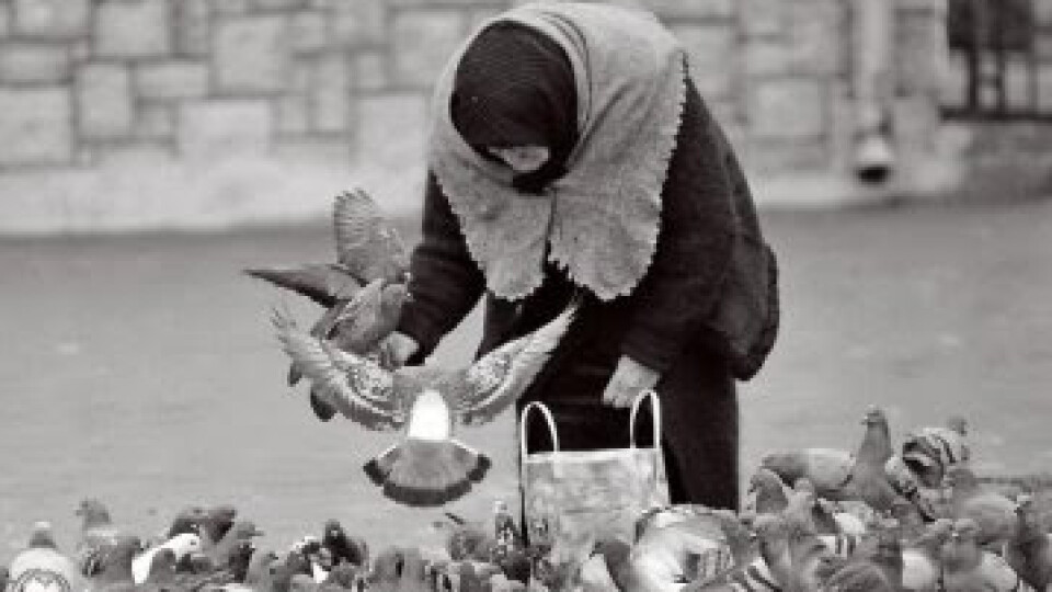 У Луцьку померла жінка, яка годувала голубів на Театральному майдані