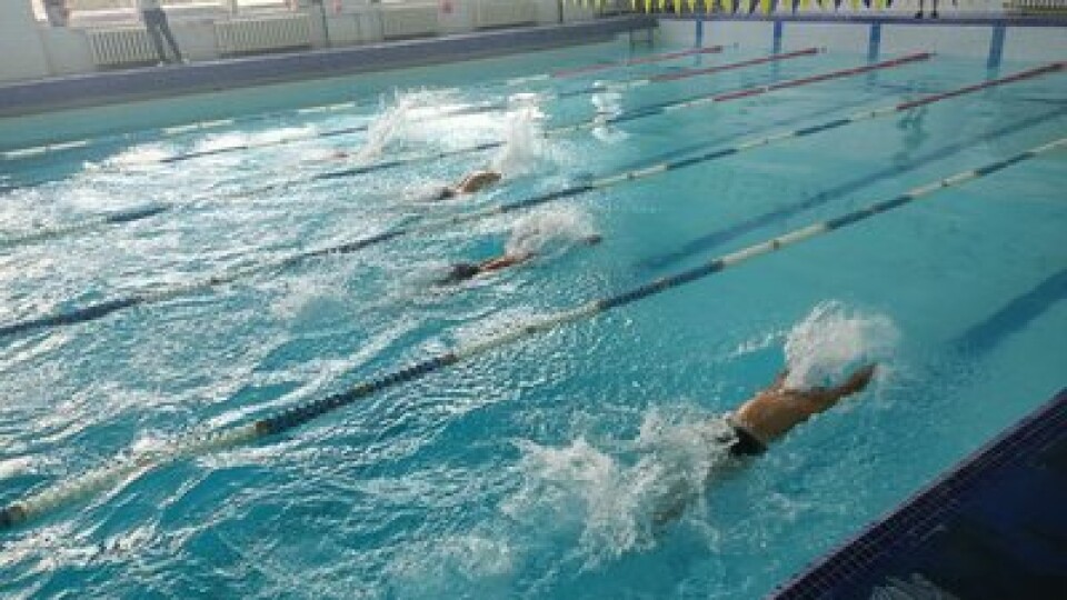 У Центральному басейні Луцька завершився чемпіонат області з плавання