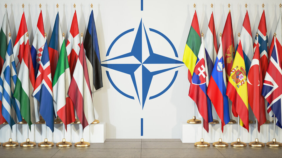 НАТО збільшує військову присутність у Східній Європі через загрозу вторгнення РФ в Україну