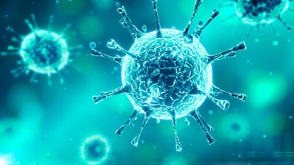 Коронавірус – контрольована пандемія, – ВООЗ