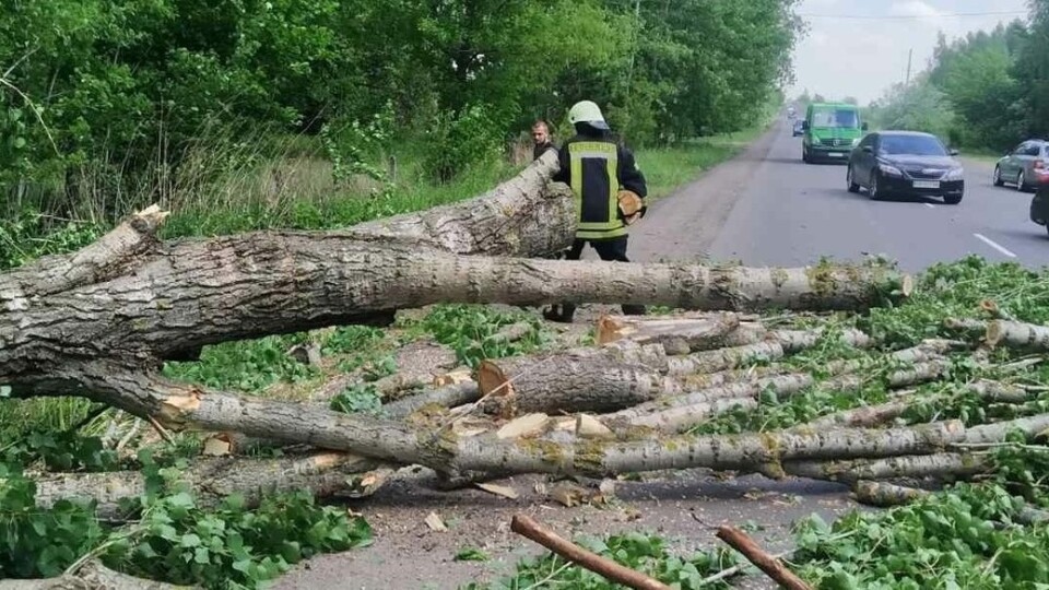 Через негоду на Волині повалило дерева