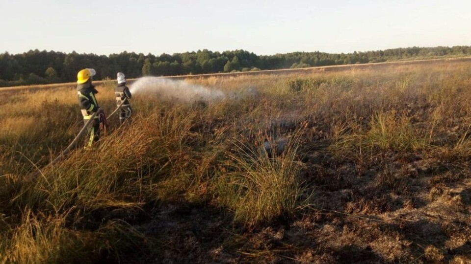 Через необережність на Волині згоріло понад два гектари сухої трави