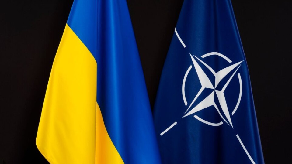 Закрийте небо над Україною: петиція до НАТО зібрала необхідну кількість голосів