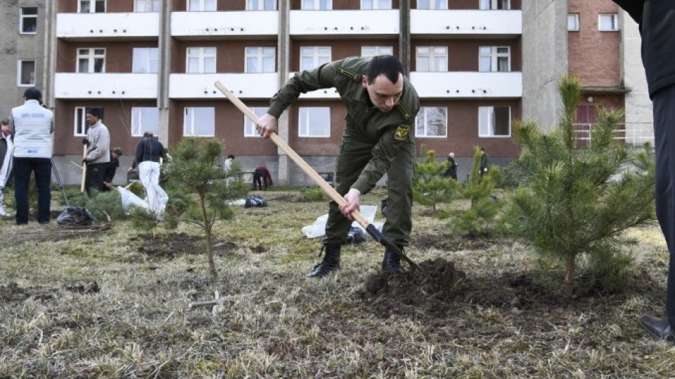 Під Луцьком створили парк для реабілітації українських воїнів. ФОТО