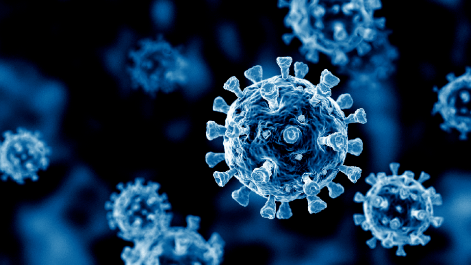 На Волині за добу від коронавірусу померло 4 людей. Статистика