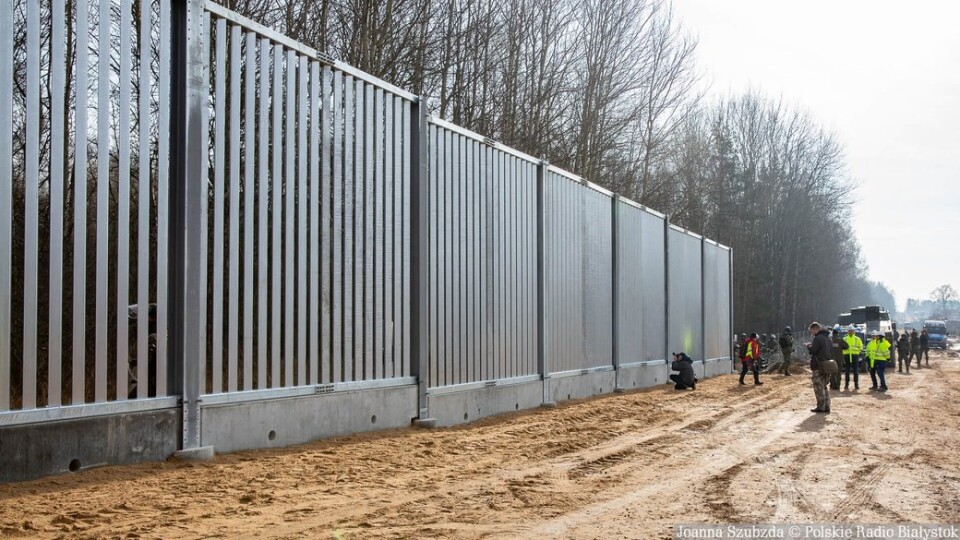 Польща завершує будівництво паркану на кордоні з Білоруссю