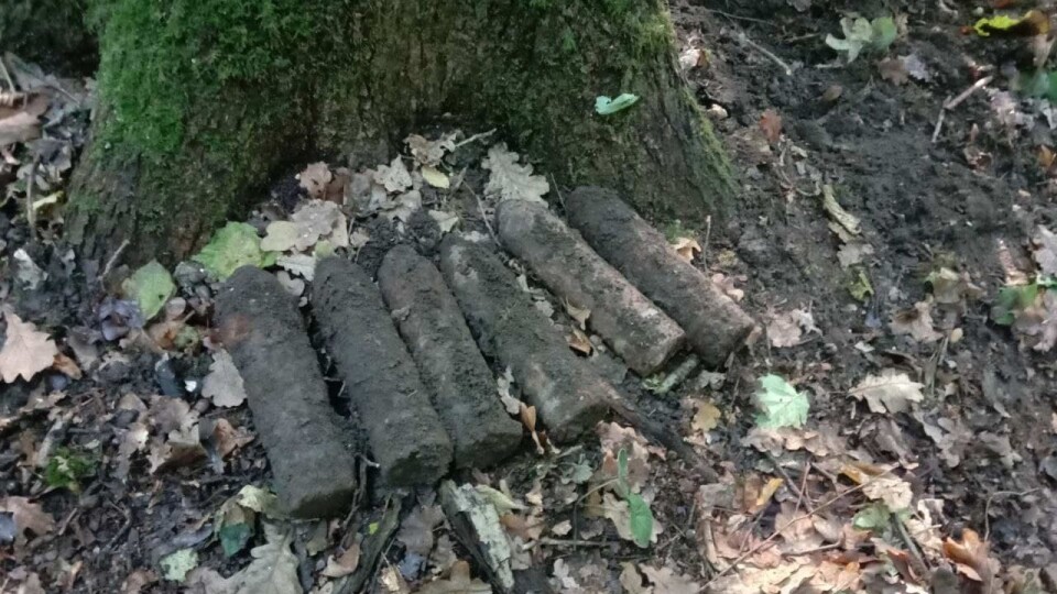 Снаряди замість грибів: біля Луцька чоловік знайшов боєприпаси часів Другої світової