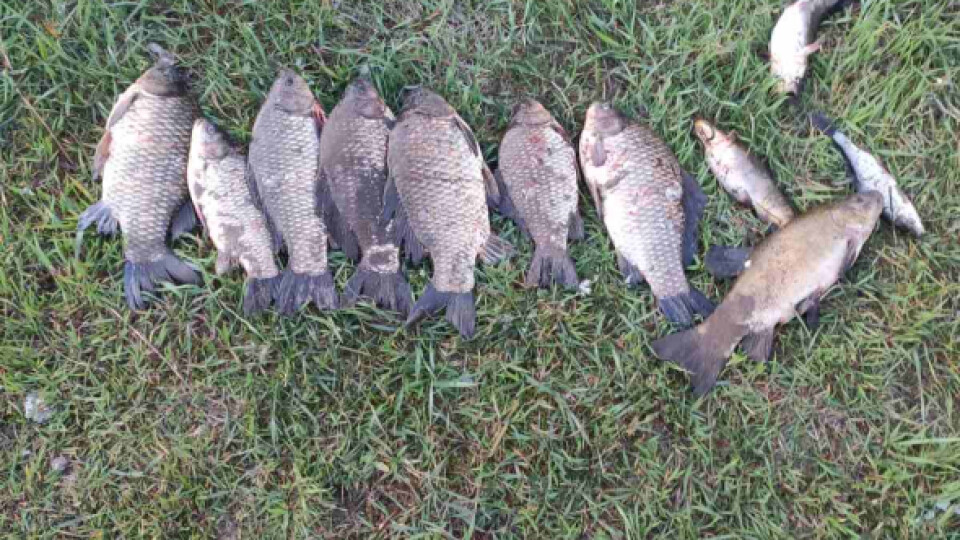 На Волині рибні браконьєри завдали шкоди на понад 40 тисяч гривень. ФОТО