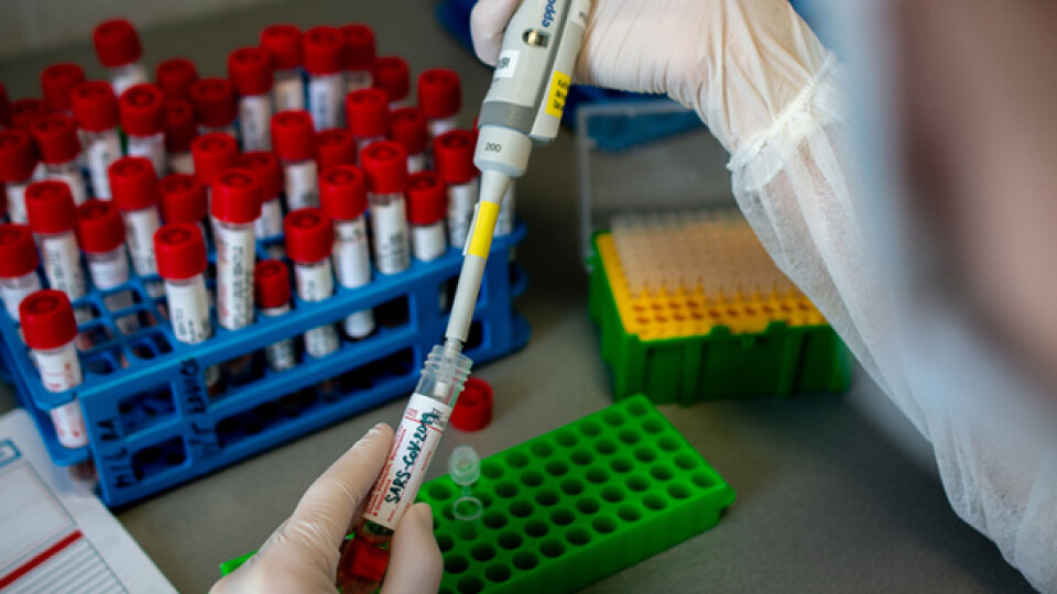 На Волині – 13 нових випадків коронавірусу за добу