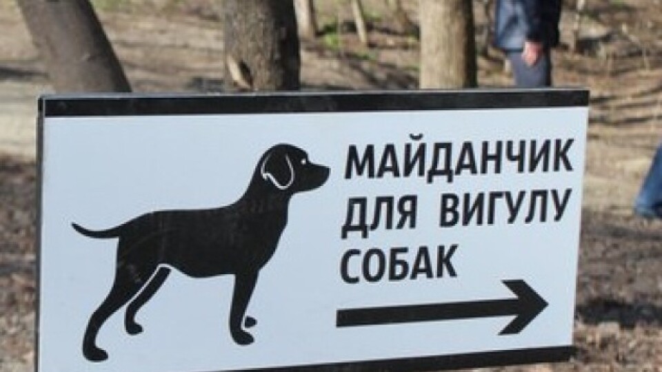 Влада Луцька не може облаштувати місця для вигулу собак. Причина – пандемія коронавірусу