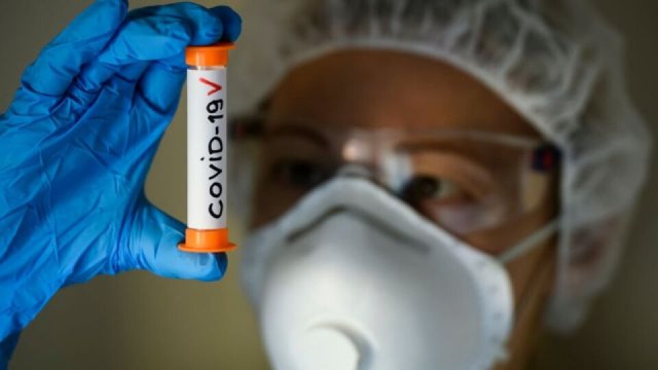 В Україні за добу виявили 11 344 хворих на коронавірус
