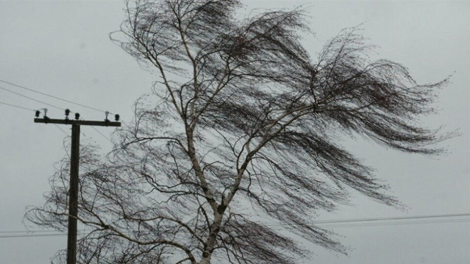 В Україні на завтра оголосили штормове попередження через сильний вітер