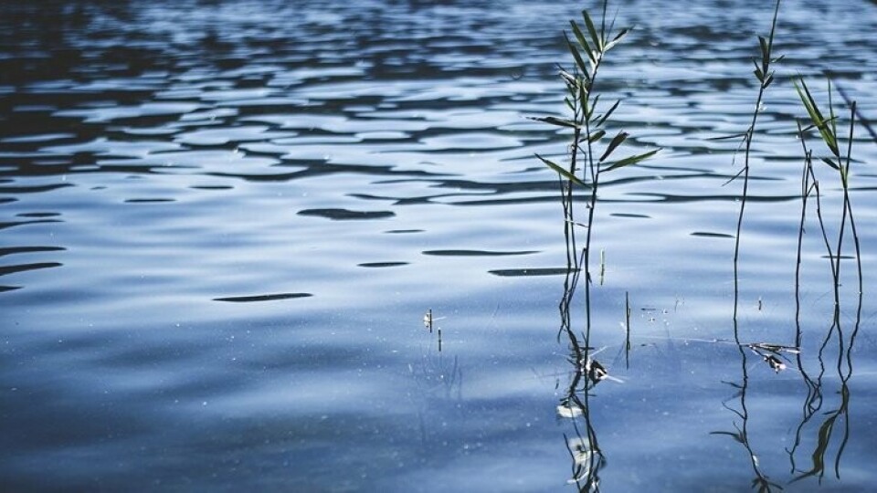 У волинському озері втопився 44-річний чоловік