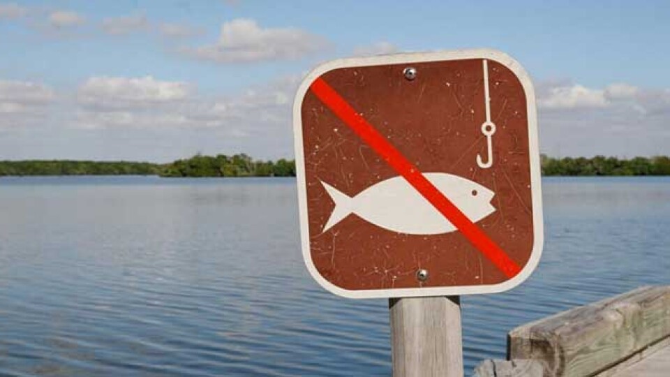 З 11 квітня на Волині заборонено ловити рибу