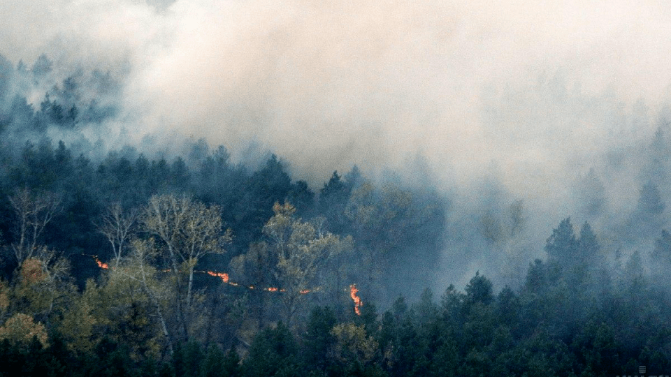 У районі ЧАЕС горять 10 тисяч гектарів лісів. Це загрожує радіацією Україні, Білорусі і Європі