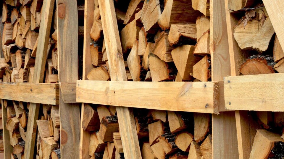 Головний лісівник Волині розповів про забезпечення населення паливними дровами