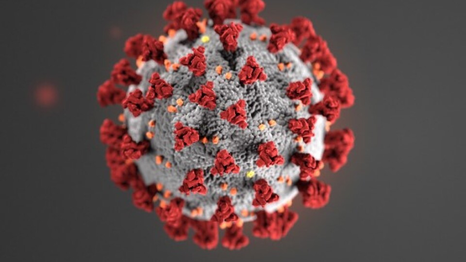 Знову антирекорд. В Україні за добу більше 34 тисяч хворих на коронавірус
