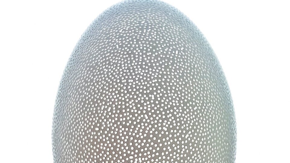 Знову рекорд: «волинський Фаберже» просвердлив у гусячому яйці 11 260 дірок