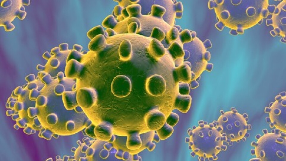 В Україні за добу коронавірус підтвердили  у 402 людей