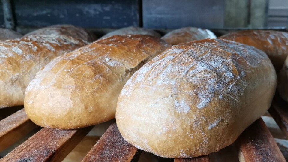 Чи лишиться Волинь без хліба: як в умовах дефіциту світла працюють пекарські підприємства