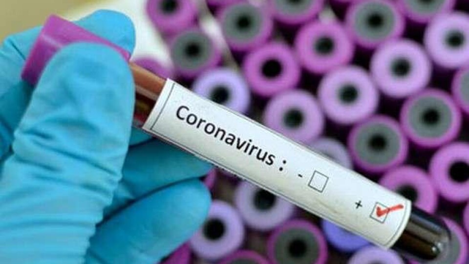 У ВООЗ офіційно оголосили пандемію коронавірусу