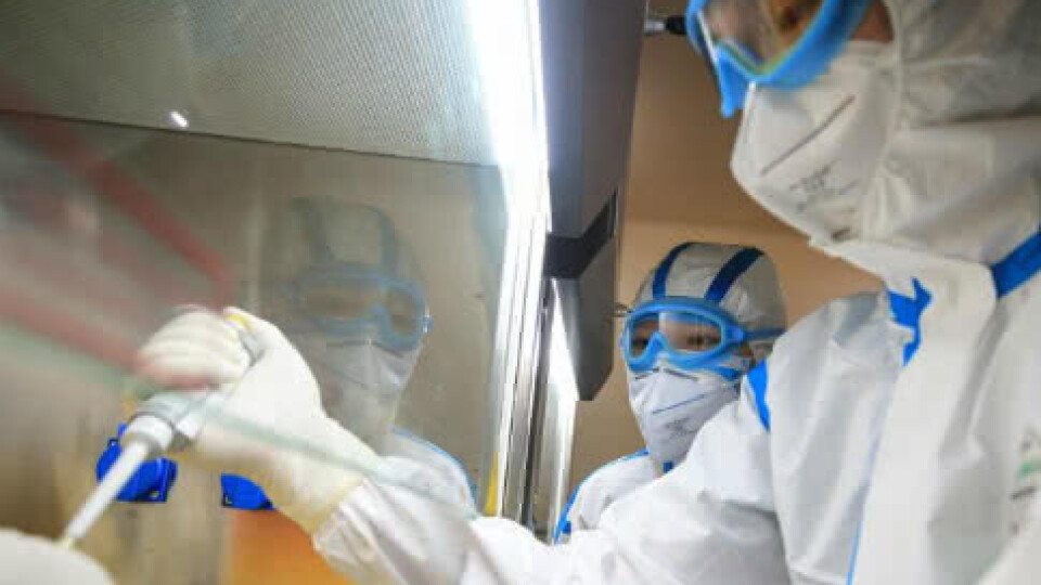 За добу в Україні підтверлили 206 нових випадків коронавірусу