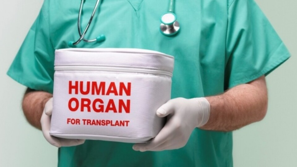 В Україні з початку року виконали вже 14 трансплантацій нирок